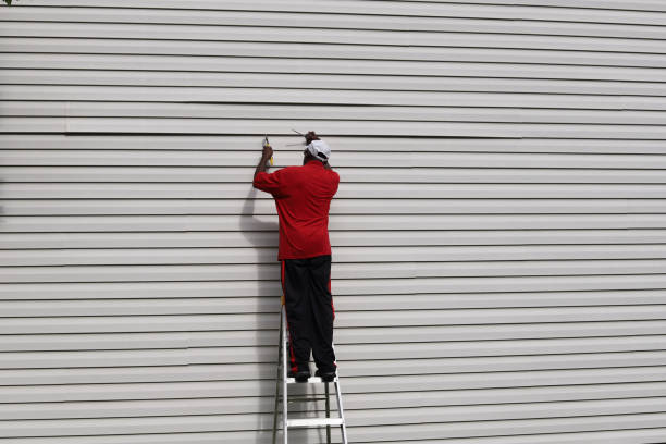 Best Stone Veneer Siding  in Hurstbourne, KY